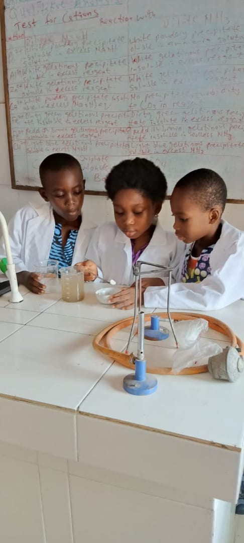 Montessori Pre-School environment at Gifted Brains School